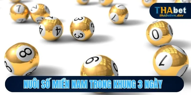 Nuôi số miền Nam trong khung 3 ngày